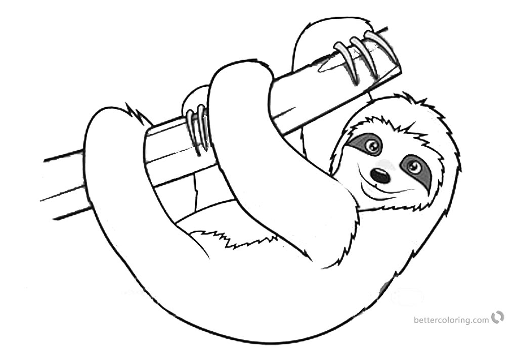 Sloth Coloring Pages Realistic Three Toed Sloth Free Printable