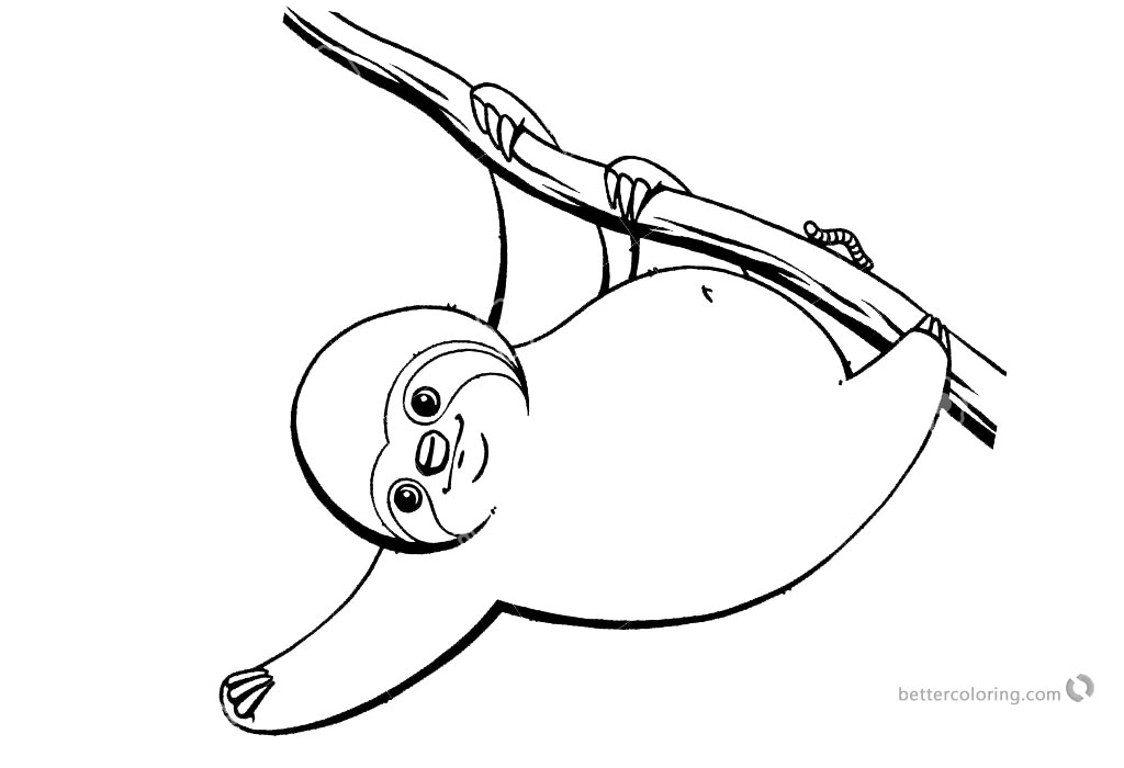 sloth coloring pages three toed sloth wanna catch