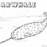 Arctic Narwhal Coloring Pages Realistic