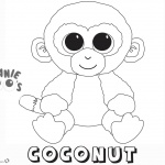 Beanie Boo Coloring Pages coconut