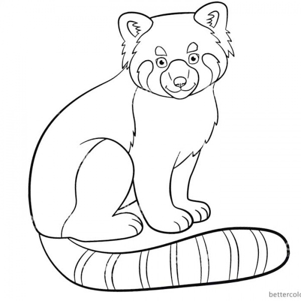 Red Panda Coloring Pages - Free Printable Coloring Pages
