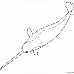 Narwhal Coloring Pages Line Art