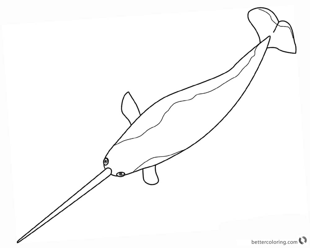 Narwhal Coloring Pages Line Art printable
