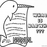 Narwhal Coloring Pages what is Narwhal