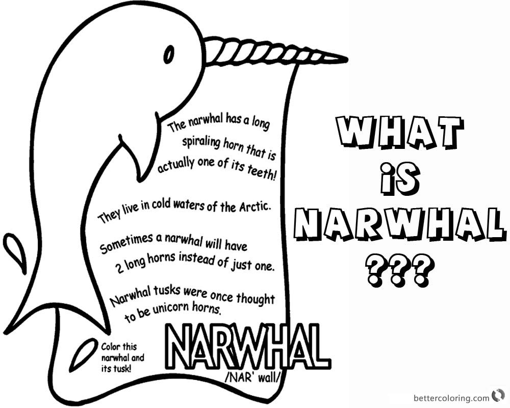 Narwhal Coloring Pages what is Narwhal printable