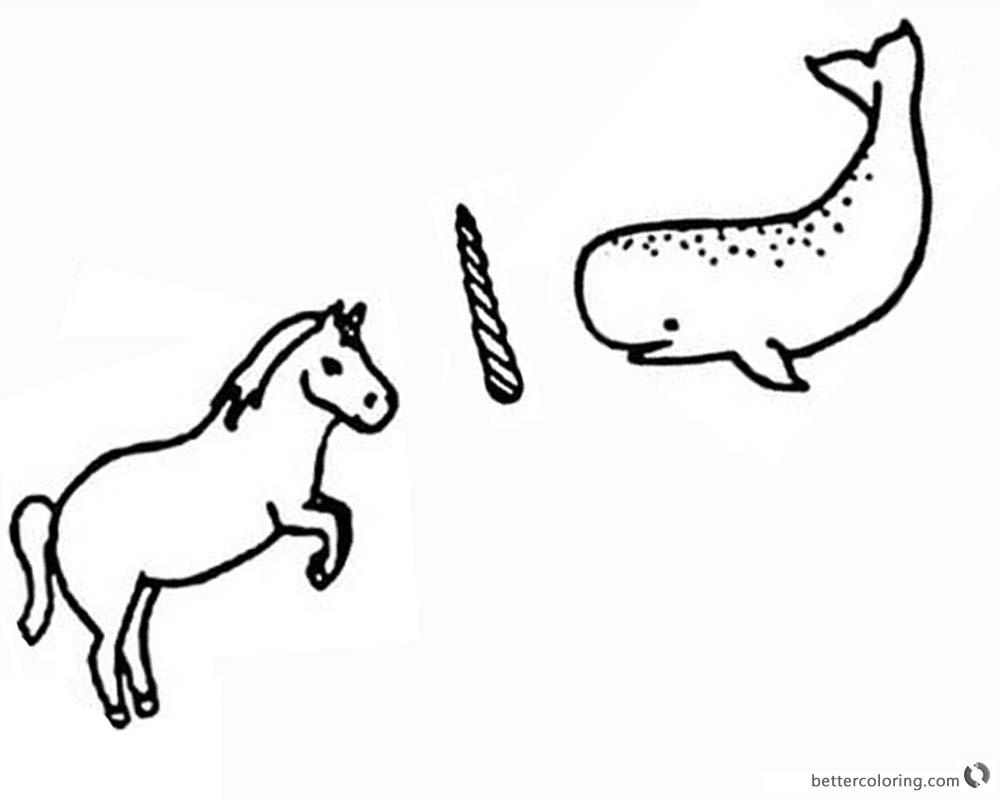 Narwhal and Unicorn Coloring Pages Lost Horn printable