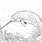 Realistic Arctic Narwhal Coloring Pages with Fishes