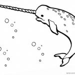 Realistic Narwhal Coloring Pages Drawing