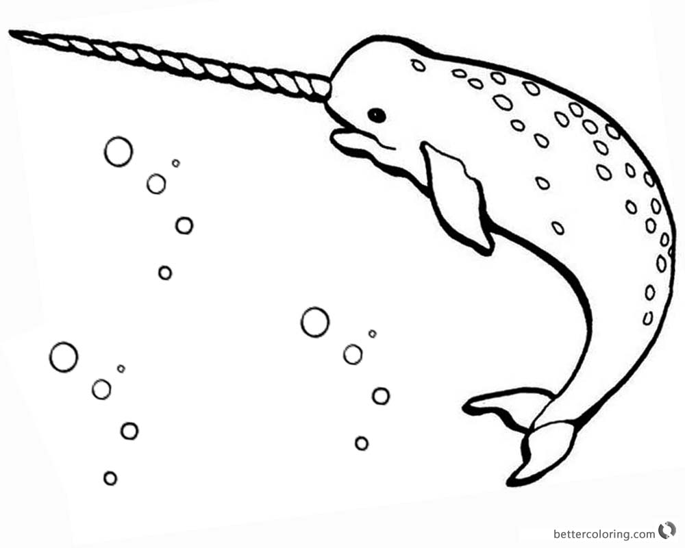 Realistic Narwhal Coloring Pages Drawing printable