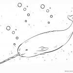Realistic Narwhal Coloring Pages Sketch