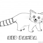 Red Panda Coloring Pages Black and White Sketch