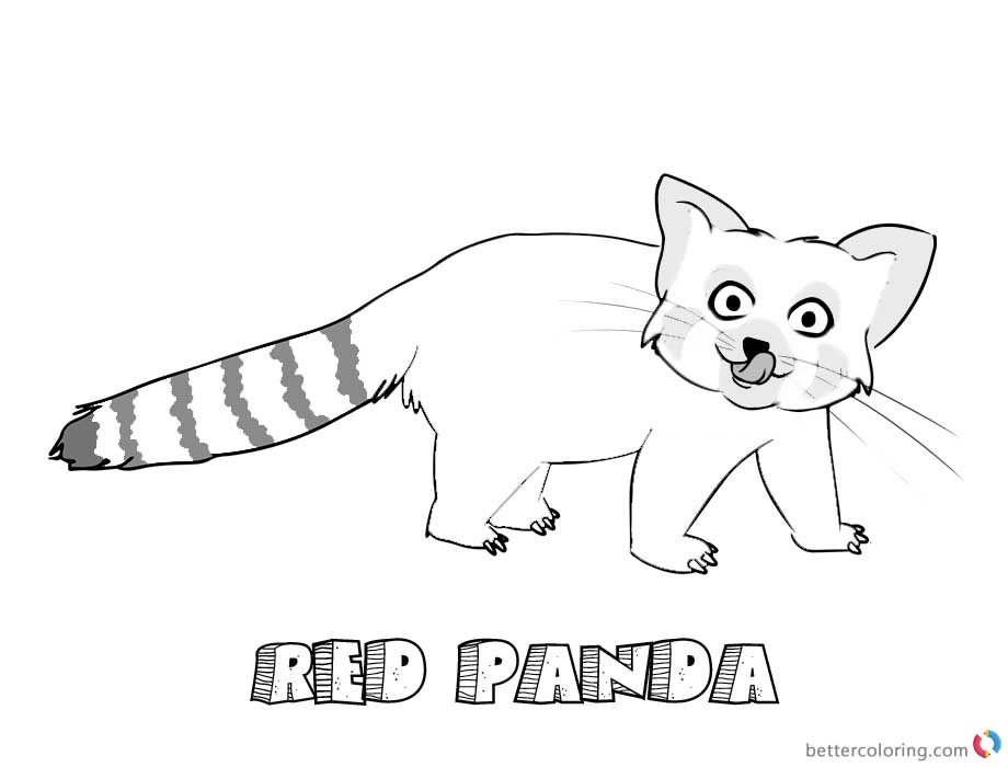 Red Panda Coloring Pages Black and White Sketch printable for free