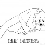 Red Panda Coloring Pages Climbing