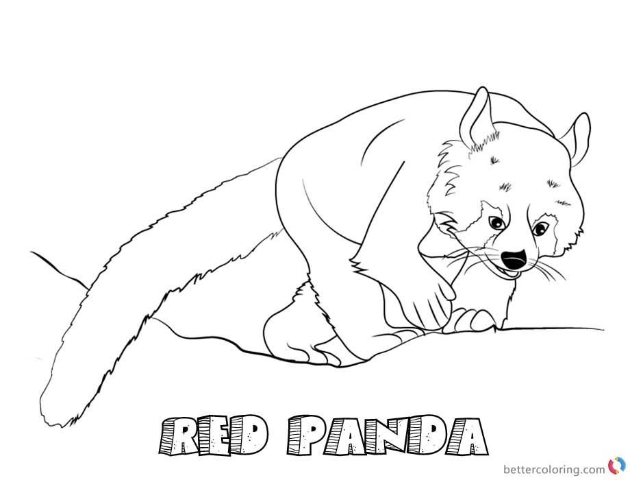 Red Panda Coloring Pages Climbing printable for free