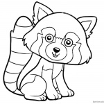 Red Panda Coloring Pages Clipart