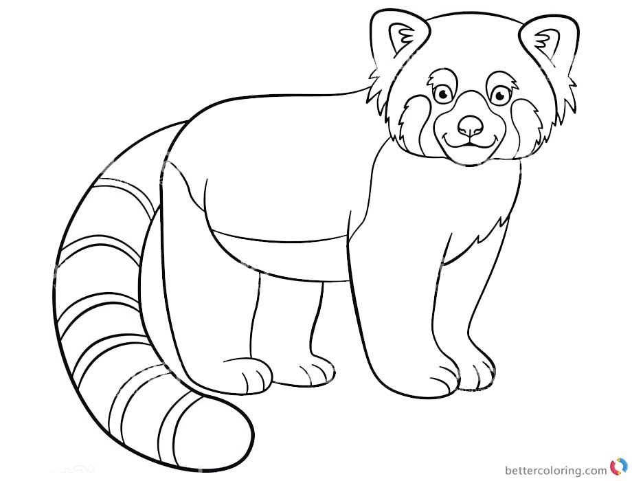 Red Panda Coloring Pages Lineart Black and White - Free Printable