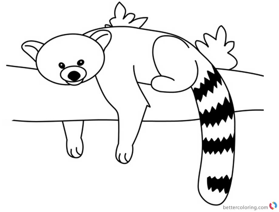 Red Panda Coloring Pages Rest on the Tree printable for free