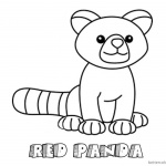 Red Panda Coloring Pages Simple Lline