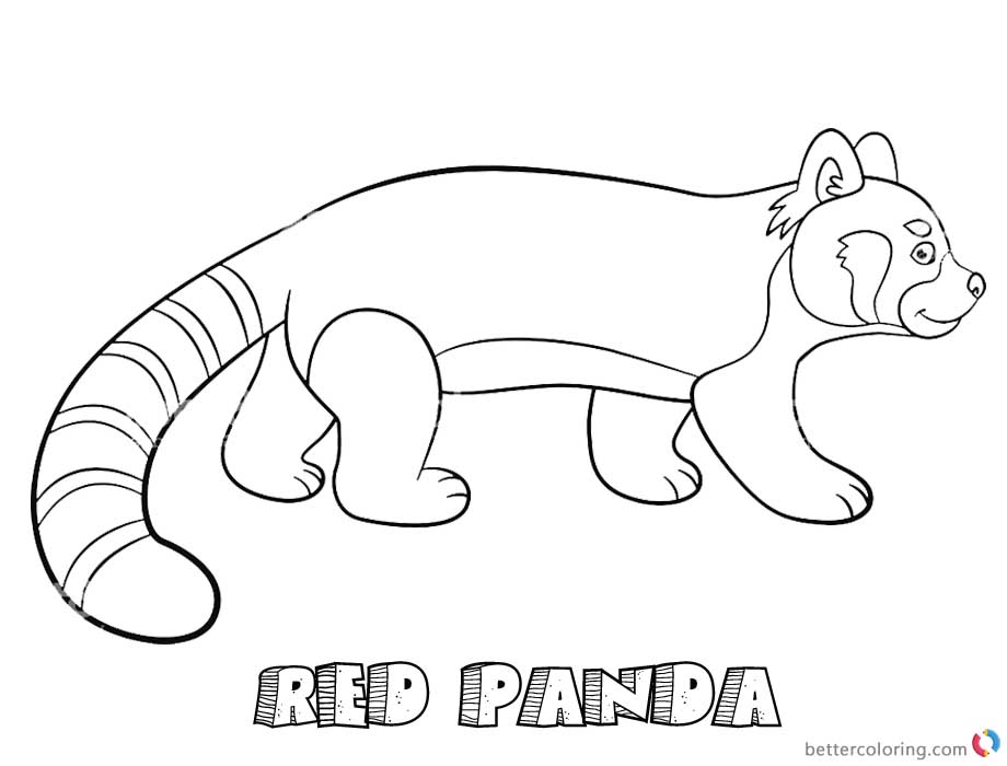 Red Panda Coloring Pages Walking Free Printable Coloring Pages