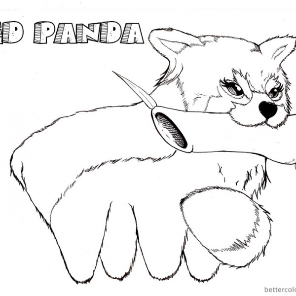 Red Panda Coloring Pages Clipart - Free Printable Coloring Pages