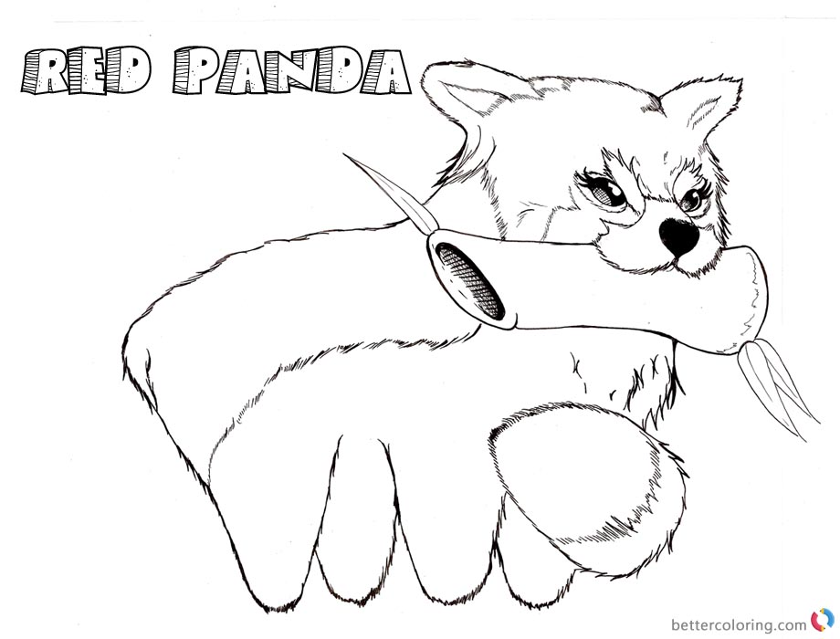 Red Panda Coloring Pages Eating Bamboo printable for free