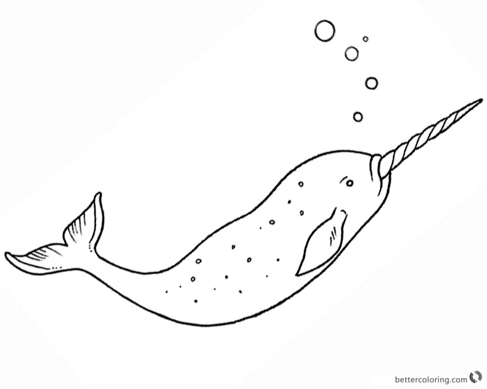 Single Narwhal Coloring Pages Free Printable Coloring Pages