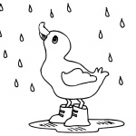 Raindrop Coloring Pages A Duck in the Rain