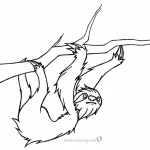 Realistic Sloth Coloring Pages