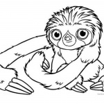 Realistic Three Toed Sloth Coloring Pages