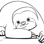 Sloth Coloring Pages Cute Sloth Have A Rest