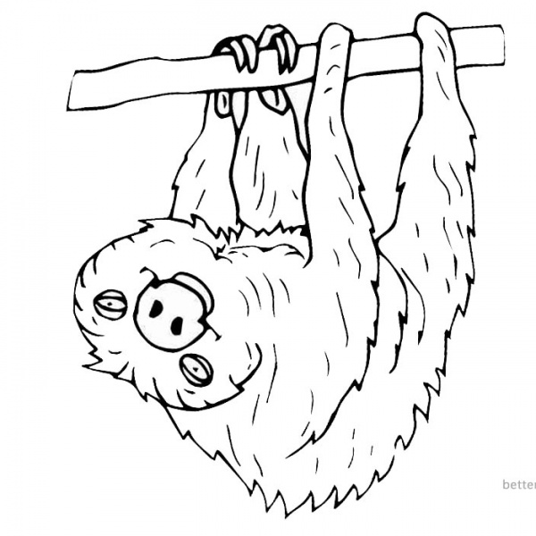 Sloth Coloring Pages Three Toed Sloth Baby - Free Printable Coloring Pages