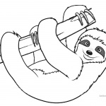Sloth Coloring Pages Realistic Three Toed Sloth