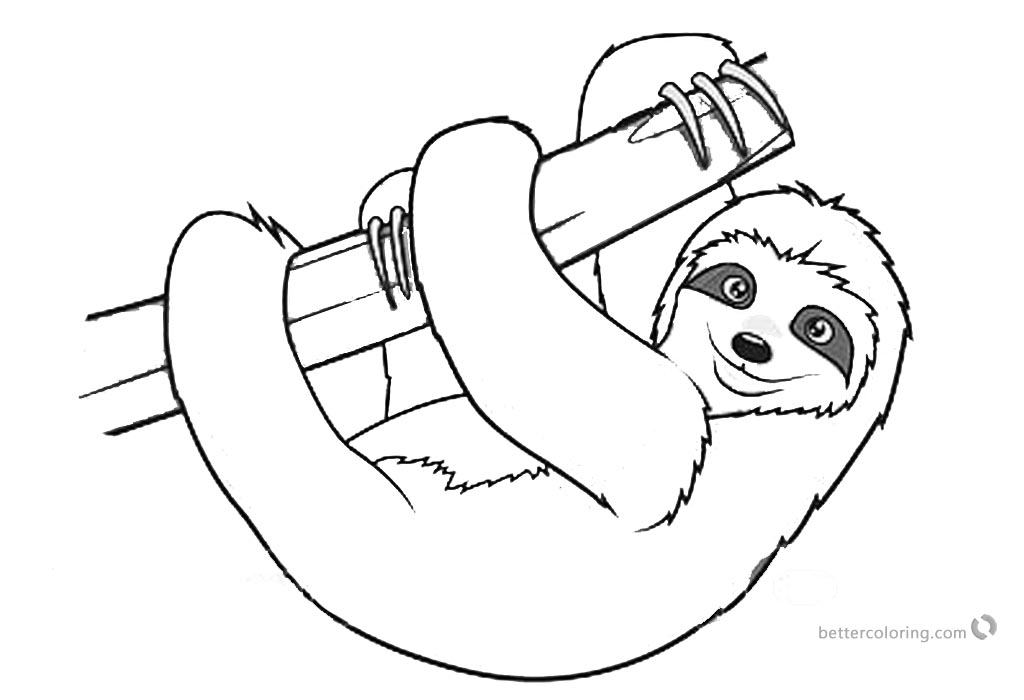 Sloth Coloring Pages Realistic Three Toed Sloth - Free Printable