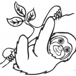 Sloth Coloring Pages Three Toed Sloth and Tree Brach Line Art