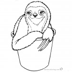 Sloth Coloring Pages Three Toed Sloth in A Bucket