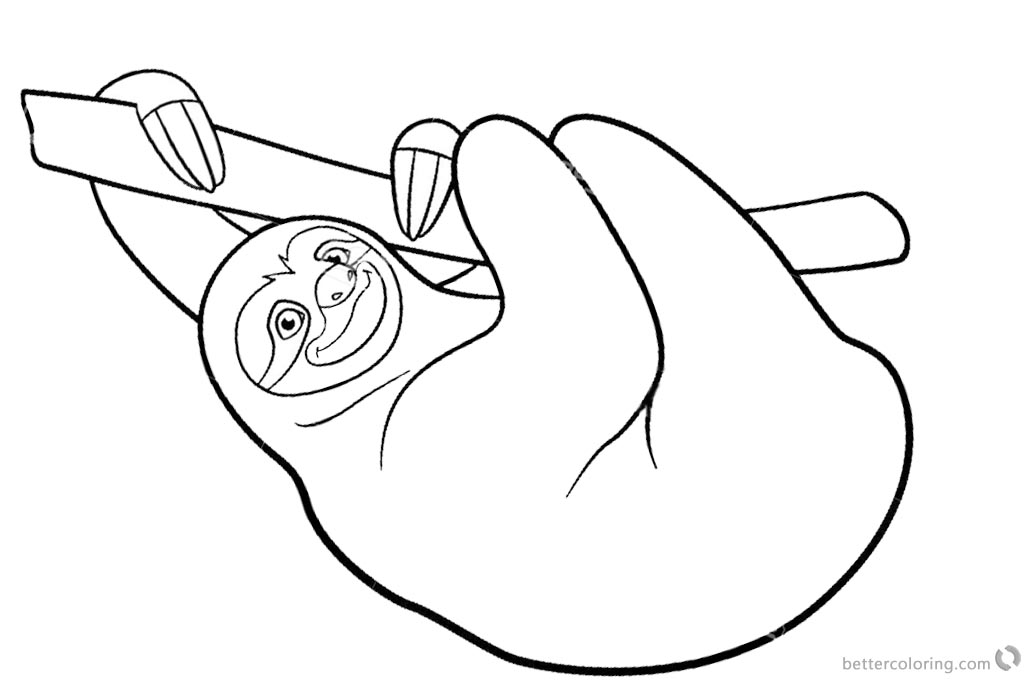 Sloth Coloring Pages Three Toed Sloth  Free Printable Coloring Pages