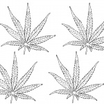 Weed Coloring Pages Four Leaves Clipart