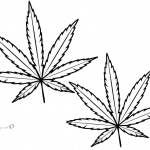 Weed Leaf Coloring Pages Marijuana Leaf