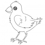 Birds Coloring Pages Black and White