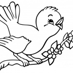 Birds Coloring Pages Cute Bird Singing