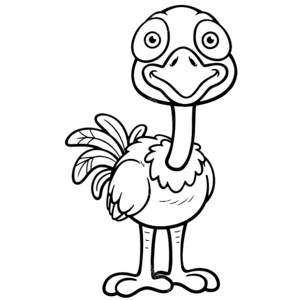 Ostrich Coloring Pages Cartoon Drawing - Free Printable Coloring Pages
