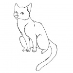 Cat Coloring Pages Clipart
