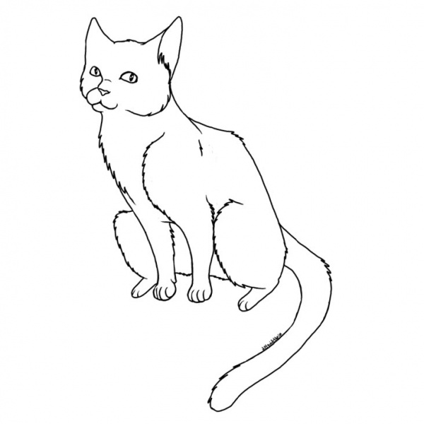 Cat Coloring Pages - Free Printable Coloring Pages