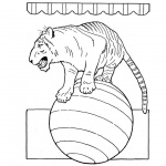 Circus Coloring Pages Tiger