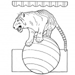 Circus Coloring Pages Tiger