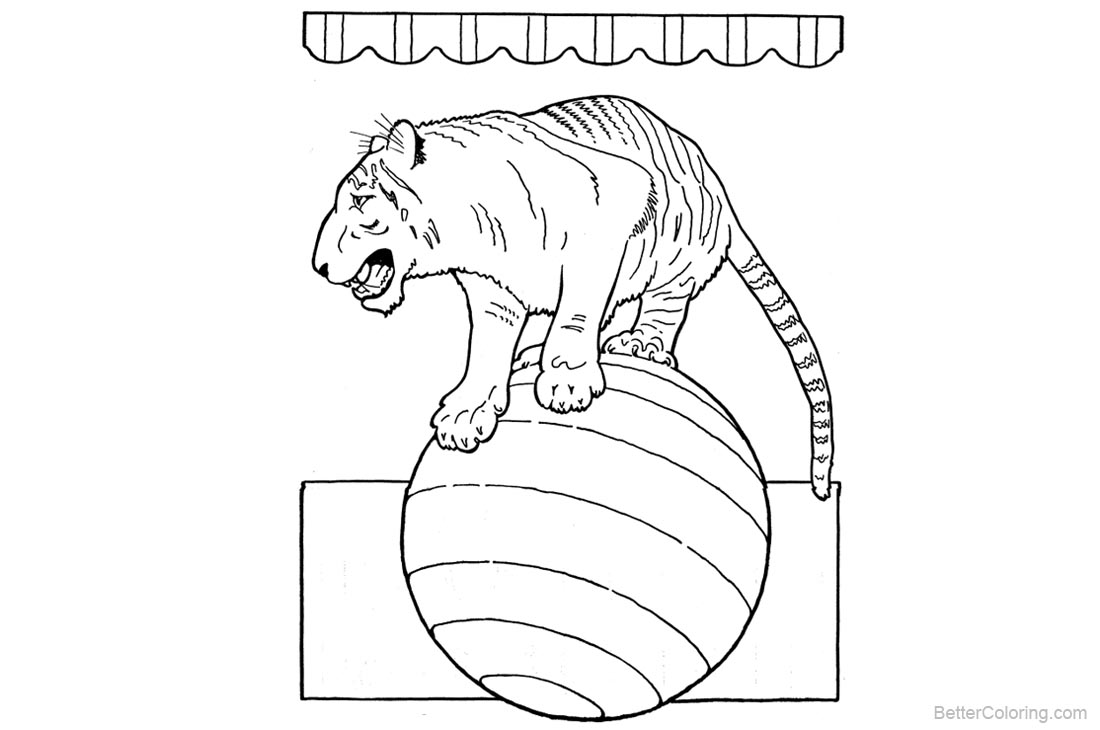 Circus Coloring Pages Tiger printable for free
