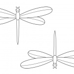 Dragonflies Coloring Pages
