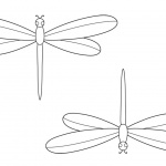 Dragonflies Coloring Pages
