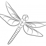 Dragonfly Coloring Pages Clipart