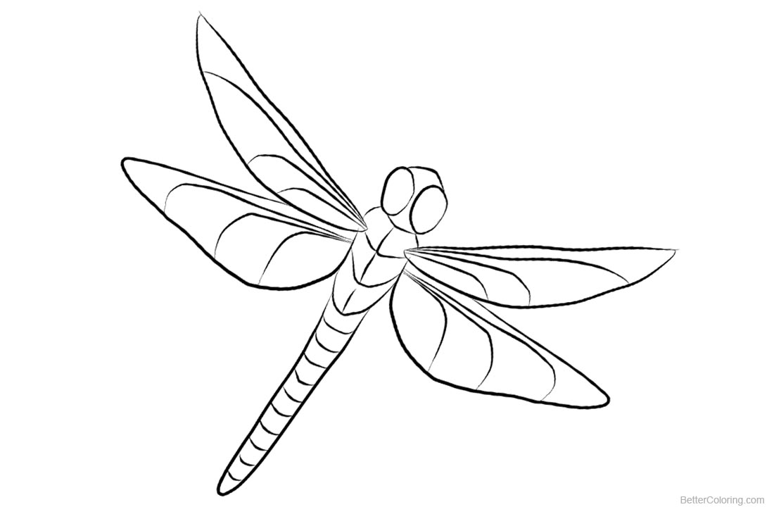 drawings-dragonfly-animals-printable-coloring-pages